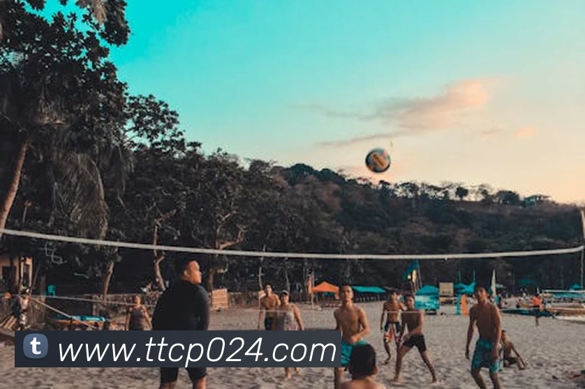 多媒体互动体验